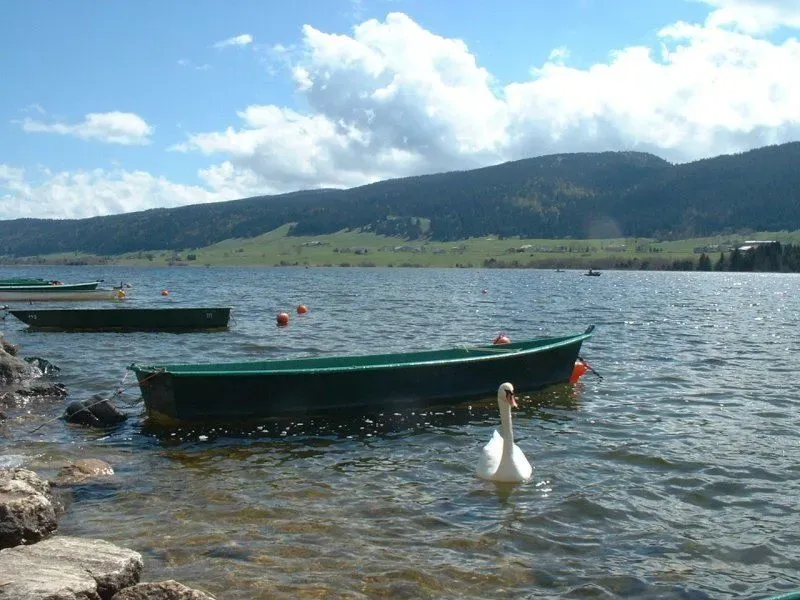 Barques et cygne sur le lac des Rousses